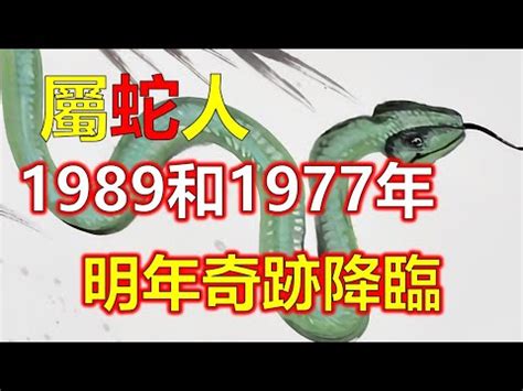 1989 屬蛇|【1989 屬】1989屬蛇終極指南：壽命揭秘、最佳配對、轉運秘訣。